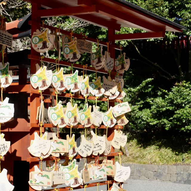 櫻宮神社：鳥居下的香火🏯