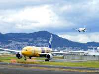 【大阪】頭上をすり抜ける迫力満点の飛行機！「千里川土手」