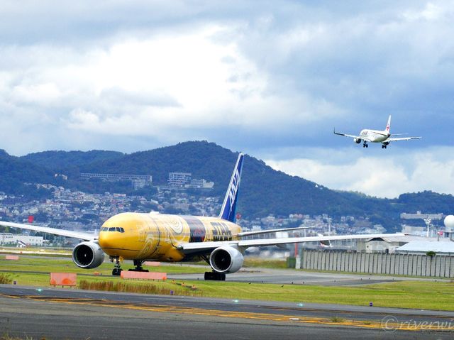 【大阪】頭上をすり抜ける迫力満点の飛行機！「千里川土手」