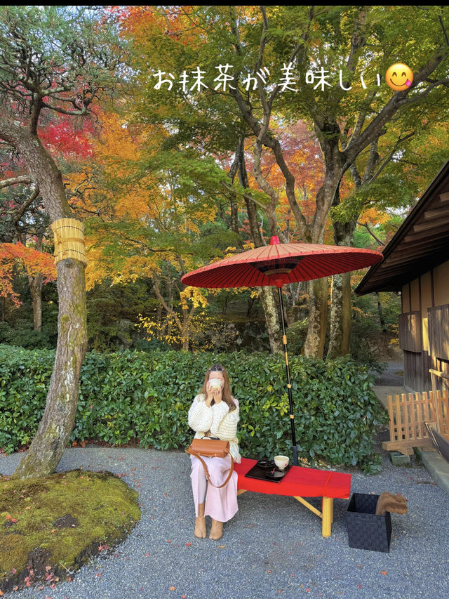 12月でも紅葉が楽しめる熱海の美術館