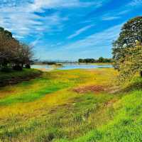 駕與丁公園，一年四季充滿自然美的地標