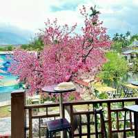คาเฟ่สไตล์ญี่ปุ่นน่ารักที่สุดในจันทบุรี