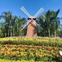 A Colorful Day Out at Chung She Flower Garden