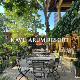 @kayuarum