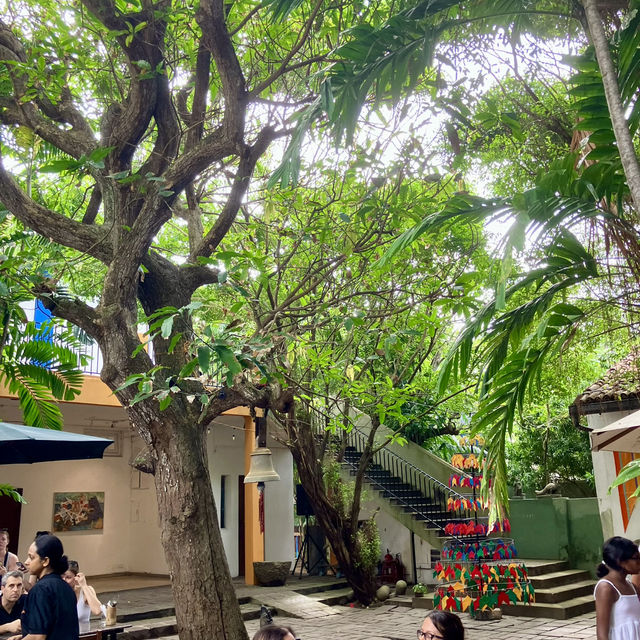 Sunshine Vibes in the Barefoot Cafe