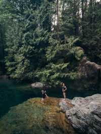 溫哥華林恩峽谷公園 Lynn Canyon