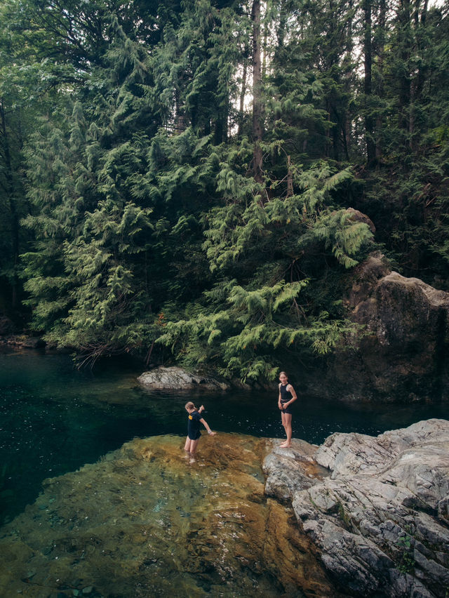溫哥華林恩峽谷公園 Lynn Canyon
