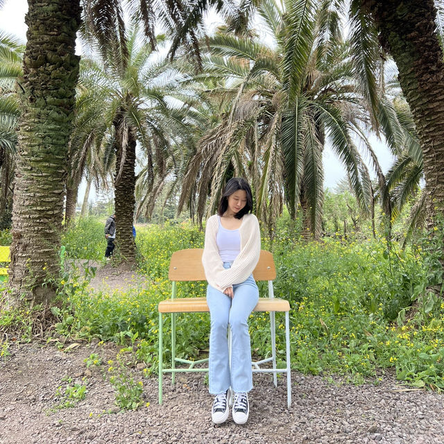 제주도 상가리야자숲 동남아 같은 이국적인 곳 🌴