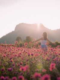 Audrey Hobby Farm - Khaoyai 🌸 เปิดให้เข้าชมแล้วนะ