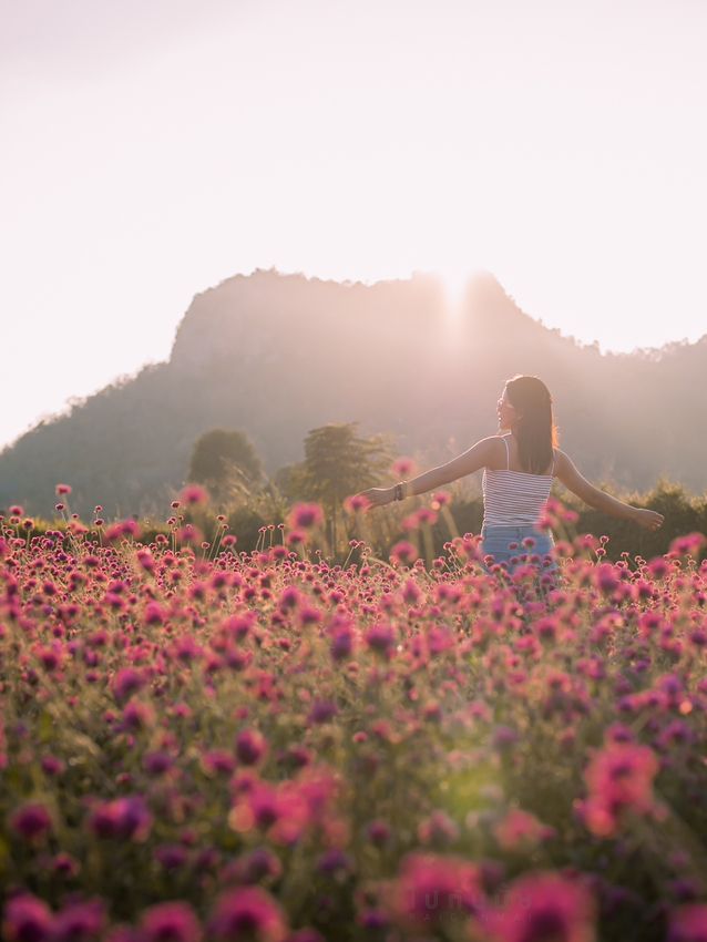 Audrey Hobby Farm - Khaoyai 🌸 เปิดให้เข้าชมแล้วนะ