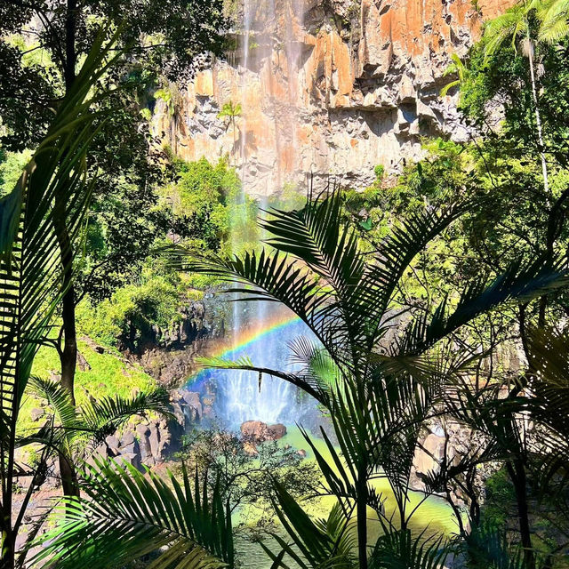 Springbrook national park. Queensland 
