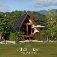 “ภูทอยพลอยวิว” อ.บ้านไร่ จ.อุทัยธานี