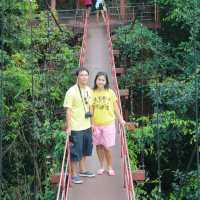 สะพานเรือนยอดไม้ จ.ตรัง