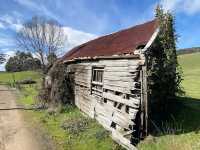 Kaoota Tasmania