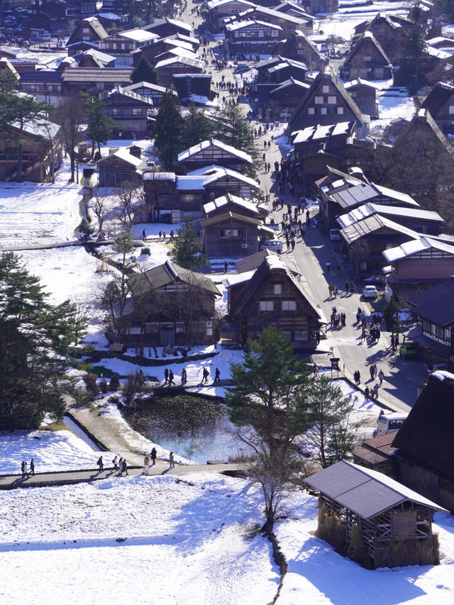 【飛騨高山×白川郷】世界遺産白川郷合掌集落が一望できるスポット