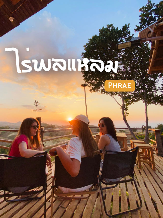 กินหมูกระทะ นอนดูดาว ที่ไร่พลแหลม ✨🏕️