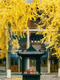 ✨Baolun temple Chongqing
