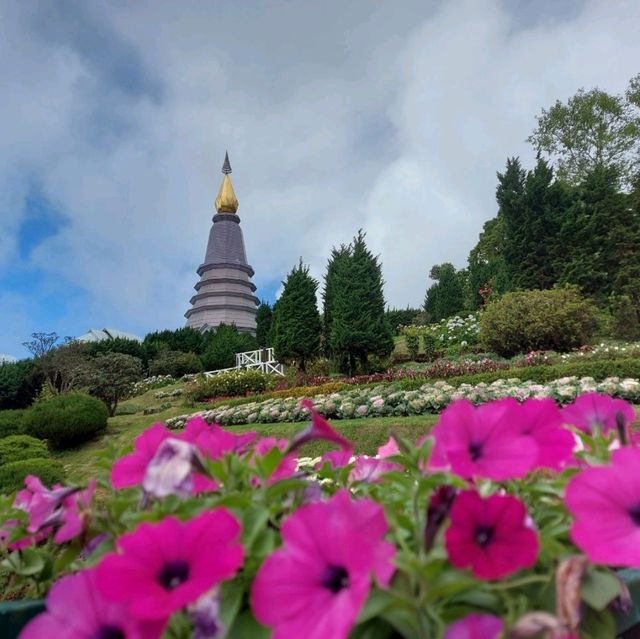 คาเฟ่วิวสวย บรรยากาศดี @ ดอยอินทนนท์ 