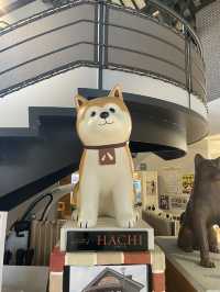 【秋田大館観光】秋田犬の里