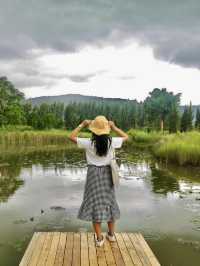 คาเฟ่ BUCOLIC Khaoyai บรรยากาศจัดเต็ม