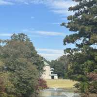 【千葉】DC川村記念美術館