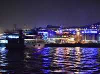 Dinner Cruise on the Bosphorus Strait🚢