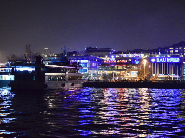 Dinner Cruise on the Bosphorus Strait🚢