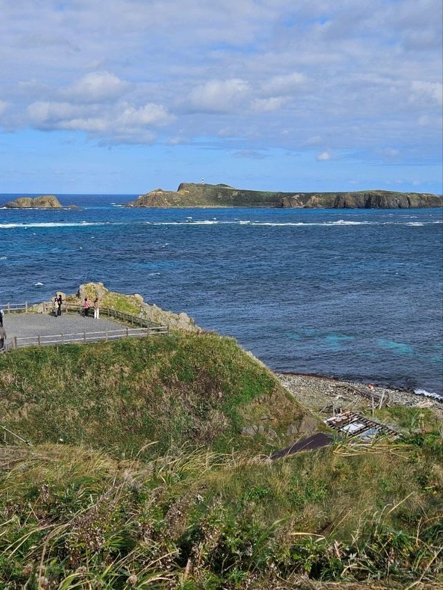 【礼文島最北端の岬】