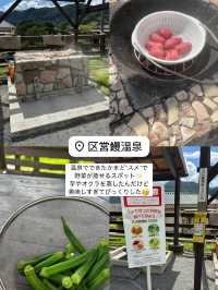 鹿児島旅行まとめ