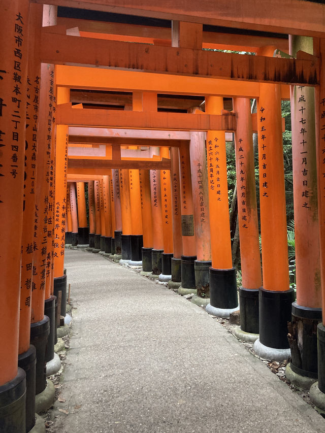 🇯🇵京都一日遊：靜靜感受古都的魅力⛩️