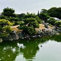 大濠公園·日本庭園-清幽小橋流水