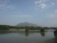 Hong Kong’s Hidden Wetlands: Our Nam Sang Wai Cycling Trip