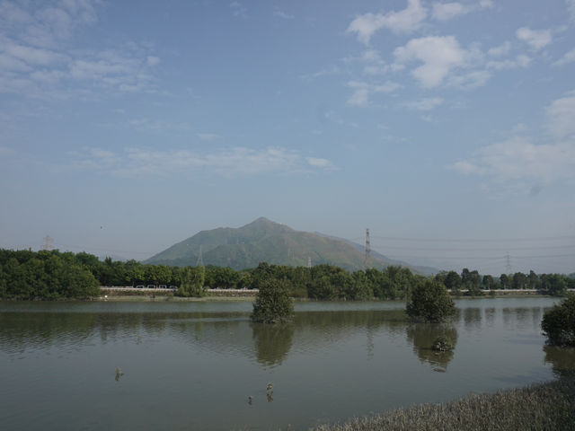 Hong Kong’s Hidden Wetlands: Our Nam Sang Wai Cycling Trip