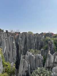 A Breathtaking Escape to Kunming’s Stone Forest – My Favorite Itinerary