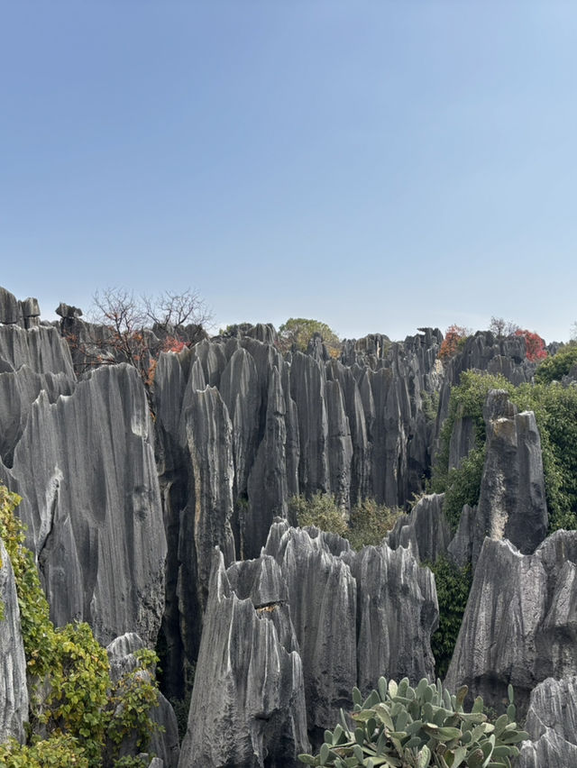 A Breathtaking Escape to Kunming’s Stone Forest – My Favorite Itinerary