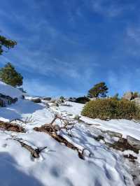 Kings Canyon is a breathtaking natural wonder located in Australia’s 