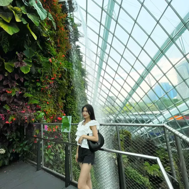 Singapore must-visit travel course.