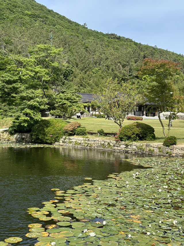 전남 진도 야외데이트하기 좋은 운림산방