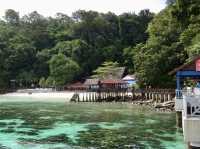 An Island Adventure: Snorkeling Bliss at Pulau Payar