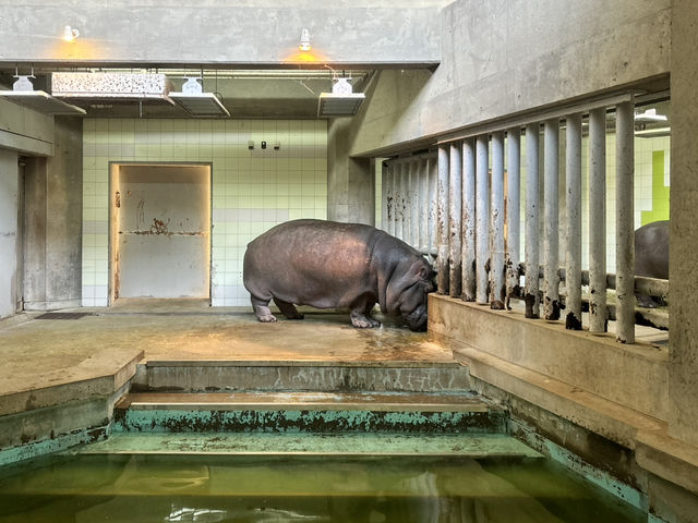 🇯🇵【愛媛県】子連れ旅行におすすめ！スタンプラリーが楽しい動物園🦁