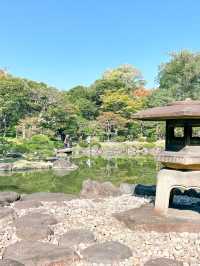 バラの季節がおすすめ！旧古河庭園