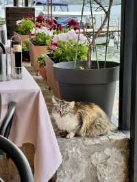 Scenic Dining at Kaneo Restaurant