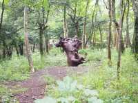 【神奈川・ポーラ美術館】森の遊歩道でアート探し🌳🎨