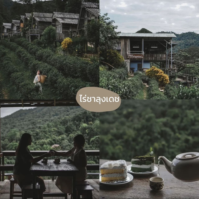 🌿 6 พิกัดที่เที่ยวสายธรรมชาติ อ.แม่แตง