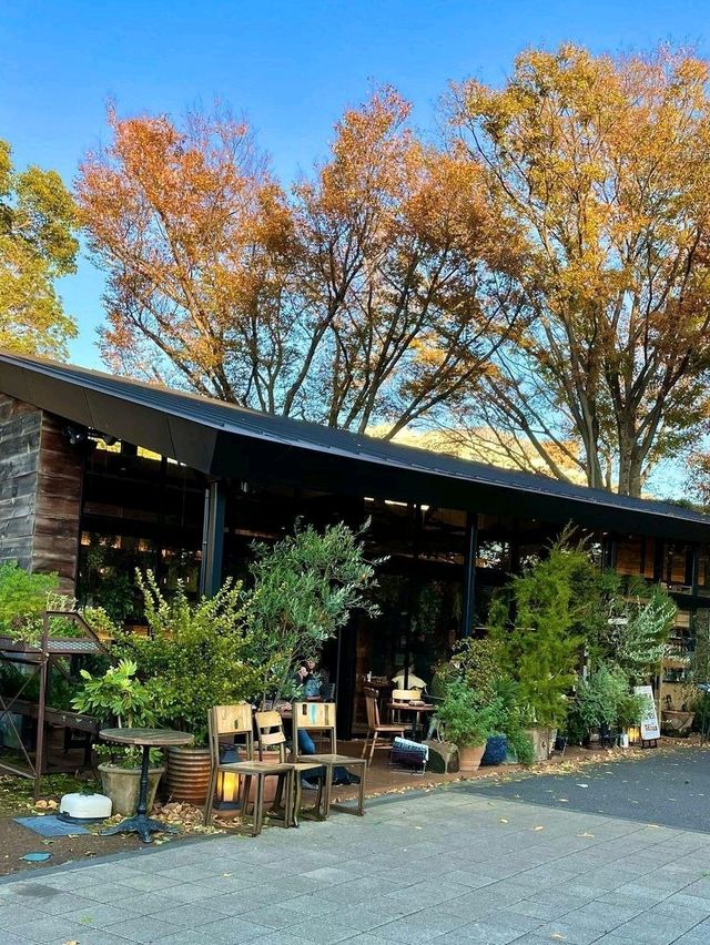 Mr Farmer Komazawa Park