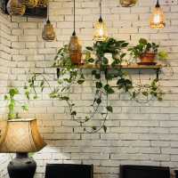Aesthetic Corners & Comforting Bites: Why Fishee Coffee Feels Like Home