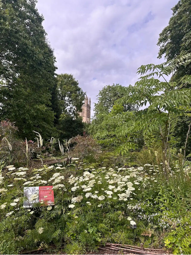 Oxford Botanic Garden