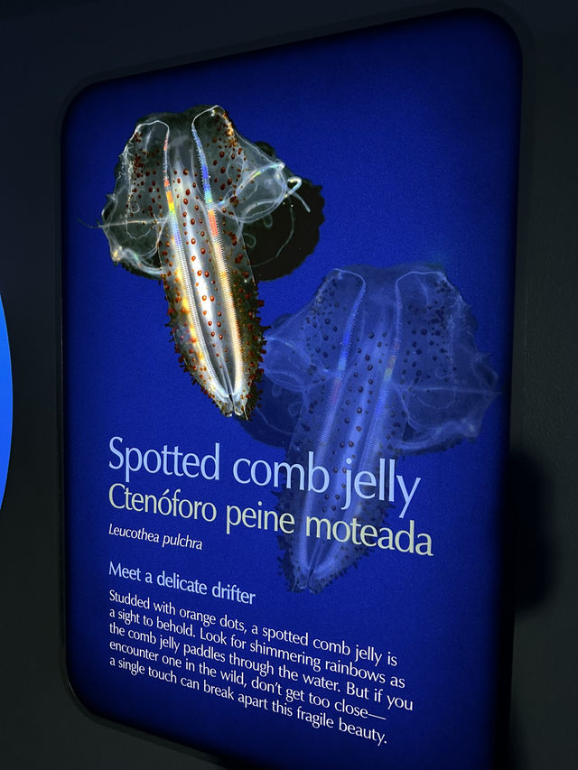 Monterey Bay Aquarium