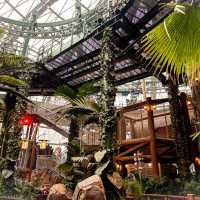 รีวิวโซน Jurassic World- Universal Beijing