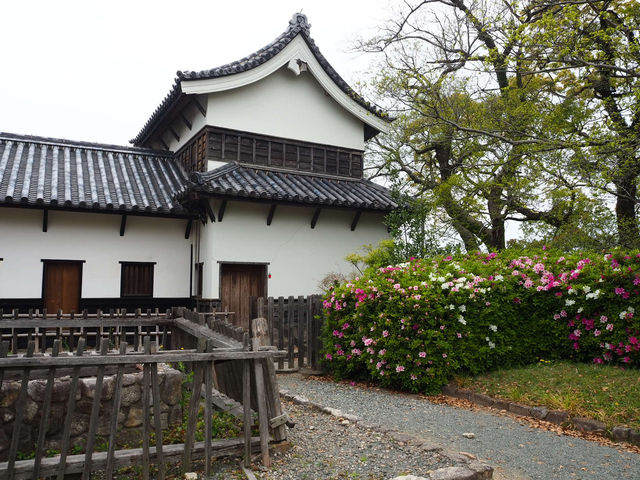 【福岡】歴史ロマン漂う福岡城跡を巡る 